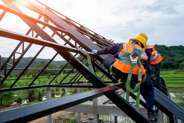 Best Residential Roofing Contractor  in St Joseph, IL