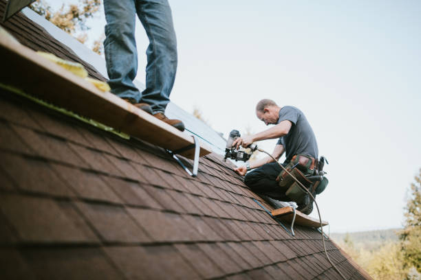 Quick and Trustworthy Emergency Roof Repair Services in St Joseph, IL