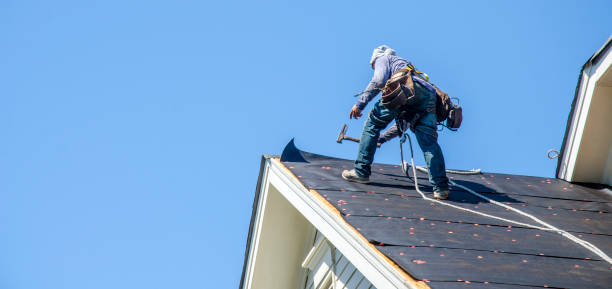Best Roof Waterproofing Services  in St Joseph, IL